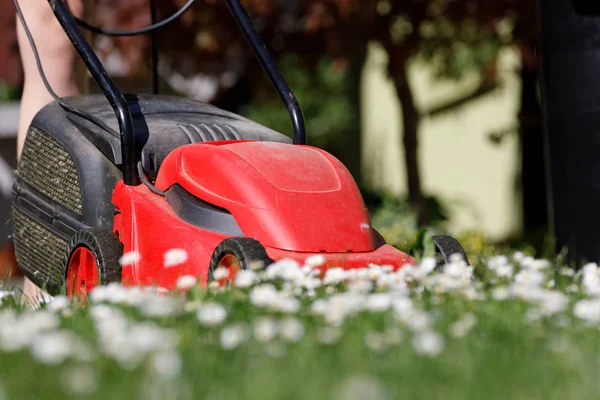 Lawnmower on green grass — Stock Photo, Image