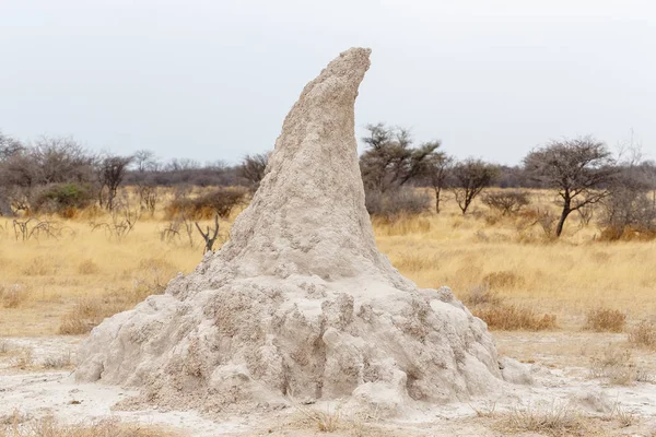 Monte térmita em África — Fotografia de Stock