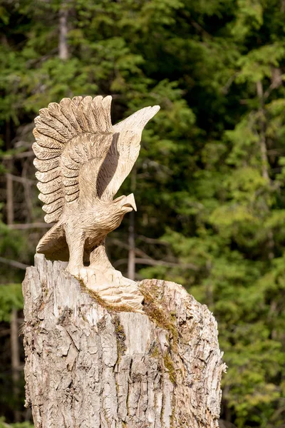 Grande statue d'aigle en bois — Photo