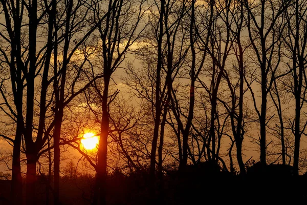 Pôr do sol sobre a árvore — Fotografia de Stock