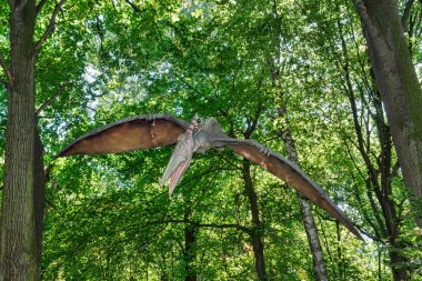 prehistoric flying dinosaur Pteranodon in nature clipart