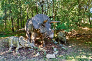 Tarih öncesi dinozor triceratops doğada