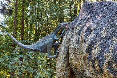 Tarih öncesi dinozor Troodon saldırı parasaurolophus