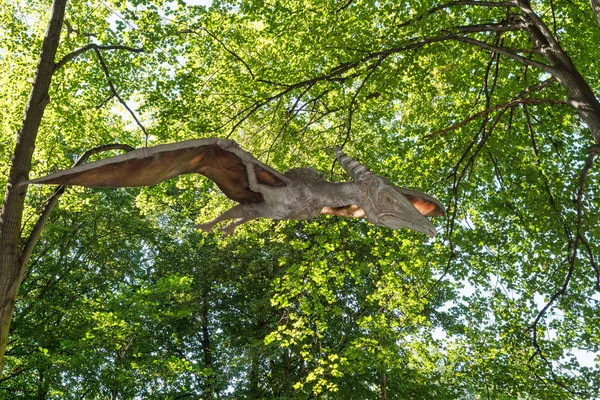 Dinosauro volante preistorico Pteranodon in natura — Foto Stock