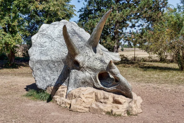 Prehistoric dinosaur triceratops skull — Stock Photo, Image