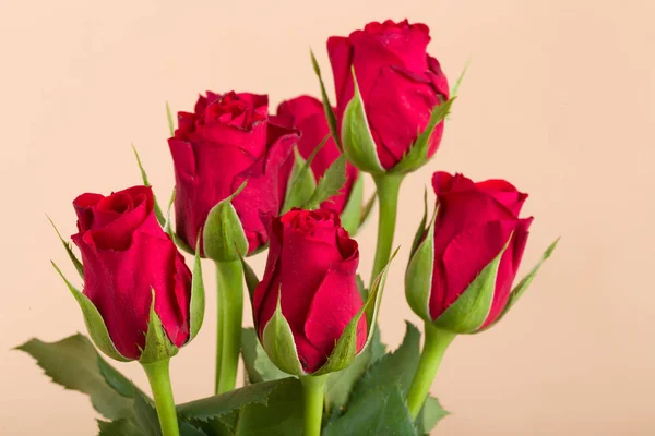 Букет свежих красных роз — стоковое фото