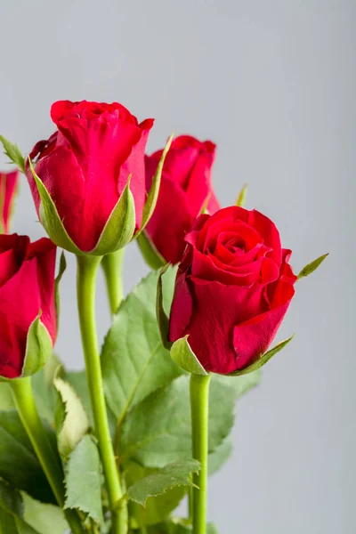 Bouquet rose rosse fresche — Foto Stock