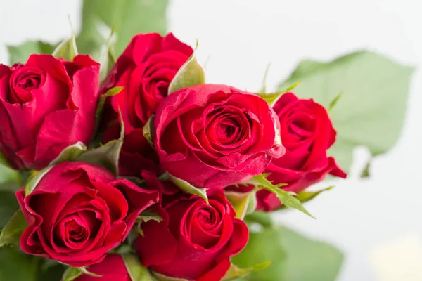 Bukett färska röda rosor — Stockfoto