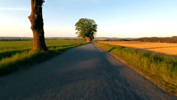 Conduite automobile au printemps dans la campagne — Video