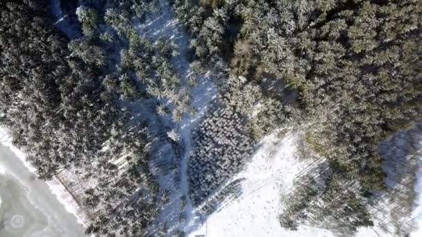 Aerial vinterlandskap — Stockvideo