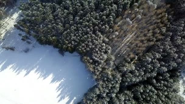 Aerial vinterlandskap — Stockvideo