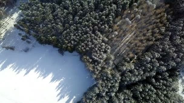 Luchtfoto winterlandschap — Stockvideo