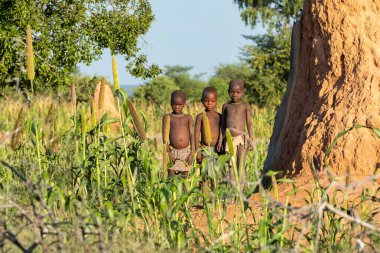 Himba boys, indigenous namibian ethnic people, Africa clipart