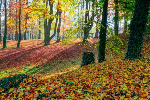 Outono no parque, conceito de outono — Fotografia de Stock