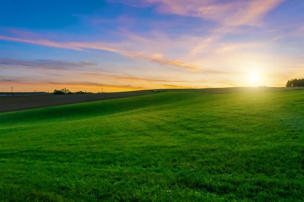 Закат над сельскохозяйственным зеленым полем — стоковое фото