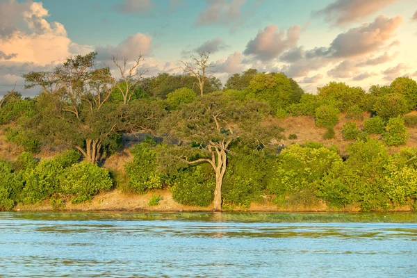 Paisagem do rio Chobe Botsuana, África — Fotografia de Stock