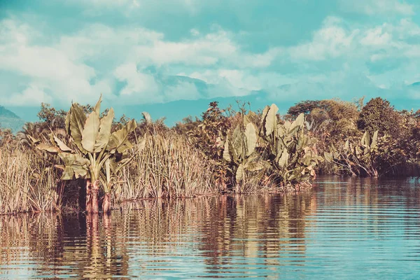 Hermoso paisaje salvaje de Madagascar —  Fotos de Stock