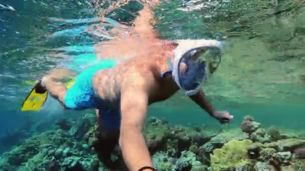Adam şnorkel mercan balıklar üzerine sığ suda — Stok video