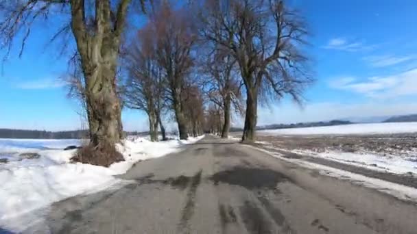 Езда на машине в зимнем солнечном пейзаже — стоковое видео