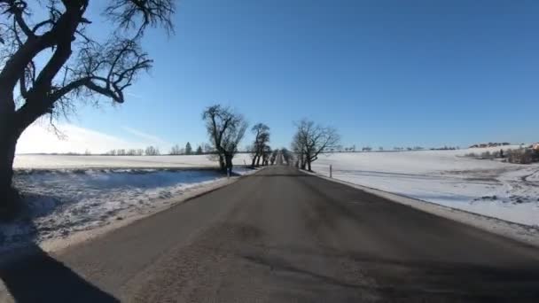 Car drive in winter sunny day — Stock Video