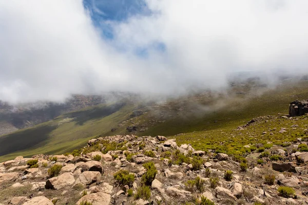 Bale Mountain landskap, Etiopien Royaltyfria Stockbilder