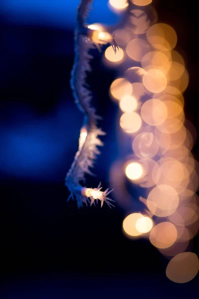 Christmas lights — Stock Photo, Image