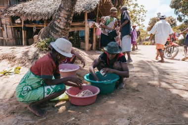 Yerli Malagasy 'li kadınlar denizden ve Madagaskar' dan avlanıyor
