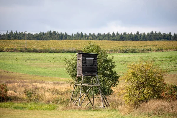 Cacciatori di legno alto sedile, torre di caccia — Foto Stock