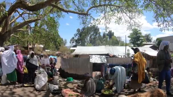 Ethiopian people at a street marketplace near Debre Libanos — 비디오