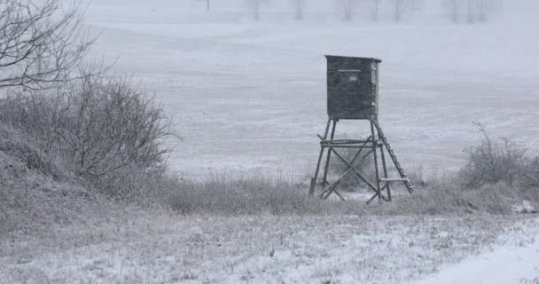 雪に覆われた冬の風景 — ストック動画