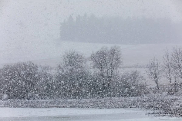 Зимовий пейзаж вкритий снігопадами — стокове фото