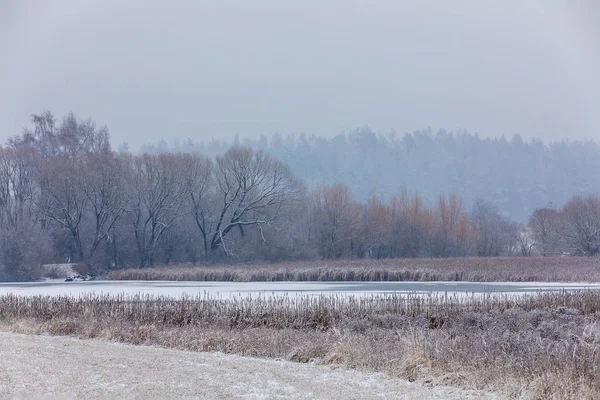 Winterlandschaft mit Schneefall bedeckt — Stockfoto