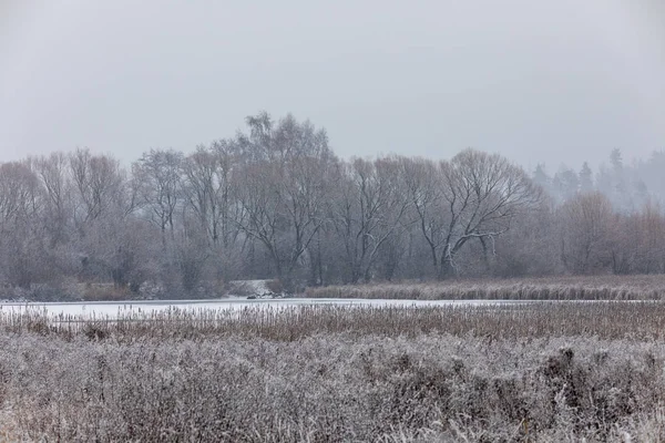 覆盖着雪花的冬季风景 — 图库照片