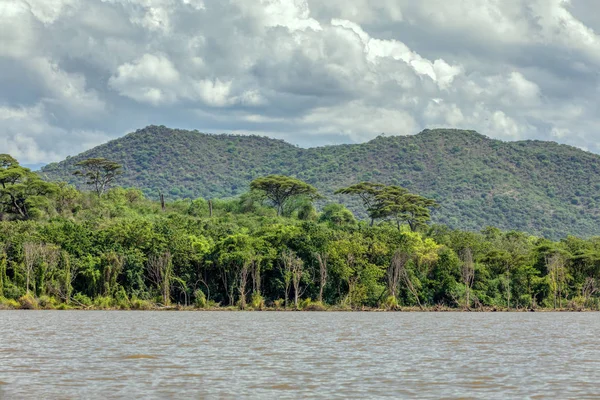 Chamosjön, Etiopien Afrika — Stockfoto