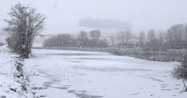 Zimowy krajobraz pokryty opadami śniegu — Wideo stockowe