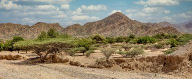 Vadisi olan güzel bir dağ manzarası. Mekelle yakınlarında uzak bir bölge. Etiyopya, Afrika vahşi doğası
