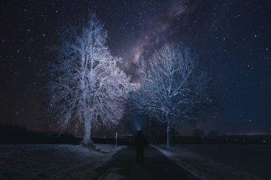 Kafasında el feneri olan yürüyüşçü silueti yıldızlı gökyüzünü ve yoldaki ağacı izliyor.