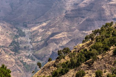 Kuzey Etiyopya 'daki güzel Semien veya Simien Dağları Ulusal Parkı manzarası. Afrika vahşi doğası. Dağ yürüyüşü konsepti.