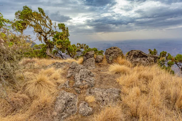 Krajobraz Pięknego Krajobrazu Parku Narodowego Semien Lub Simien Północnej Etiopii — Zdjęcie stockowe