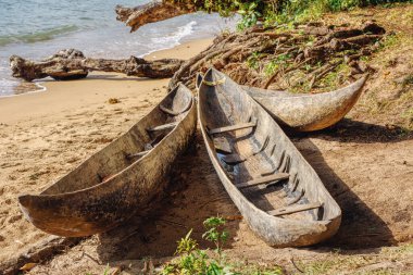Geleneksel yerli Malagasy ahşap eli balıkçı kulübesi yapmış. Masoala, Madagaskar