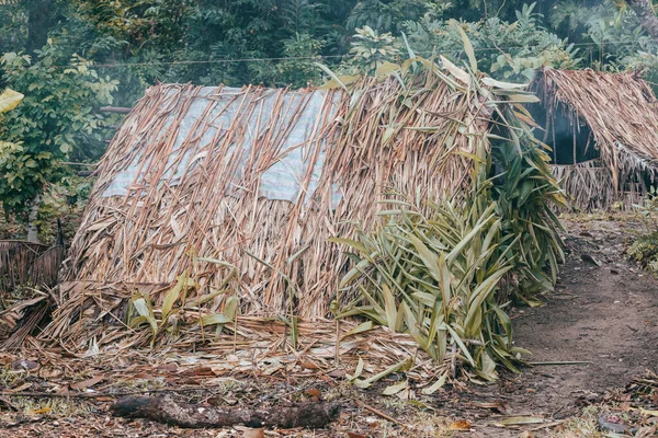 primitive shelter for fishermen on Masoala Island, Madagascar