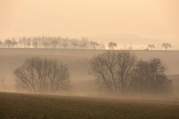 Осенняя Весна Туманный Пейзаж Древесным Силуэтом Тумане Восходе Солнца Пуклице — стоковое фото