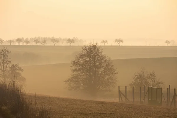 Herbst Frühling Und Neblige Landschaft Mit Einer Baumsilhouette Auf Einem — Stockfoto