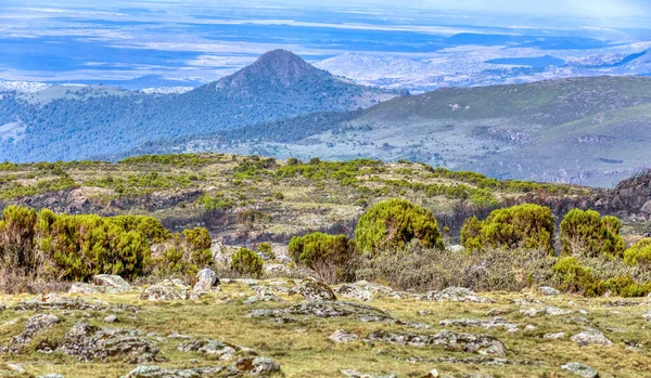 Hermoso Paisaje Parque Nacional Las Montañas Bale Etiopía Etiopía Naturaleza —  Fotos de Stock