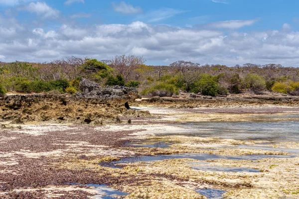 ディエゴ スアレス湾の風景 青い空と水 アフリカの荒野とマダガスカルの美しい純粋な自然の岩のビーチ — ストック写真