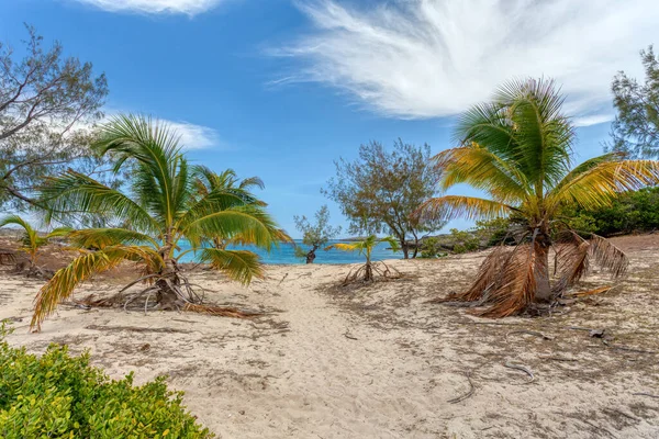 Playa Arena Antsiranana Con Palmeras Diego Suarez Bay Paisaje Madagascar — Foto de Stock