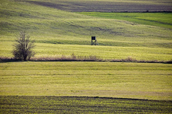 Cacciatori Legno High Seat Hunting Tower Rural Landscape Repubblica Ceca — Foto Stock