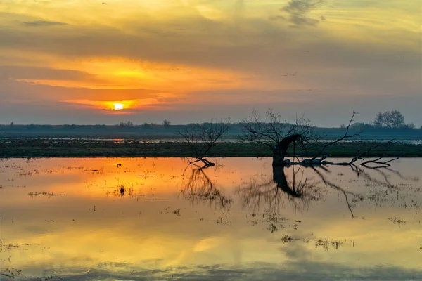Gündoğumu Manzarası Güzel Bir Yansıma Manzara Hortobagy Ulusal Parkı Macaristan — Stok fotoğraf