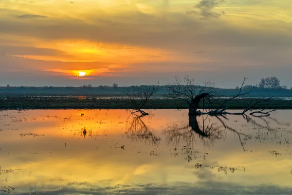 Napfelkelte Táj Szép Tükörképpel Táj Hortobágyi Nemzeti Park Magyarország Puszta Jogdíjmentes Stock Képek