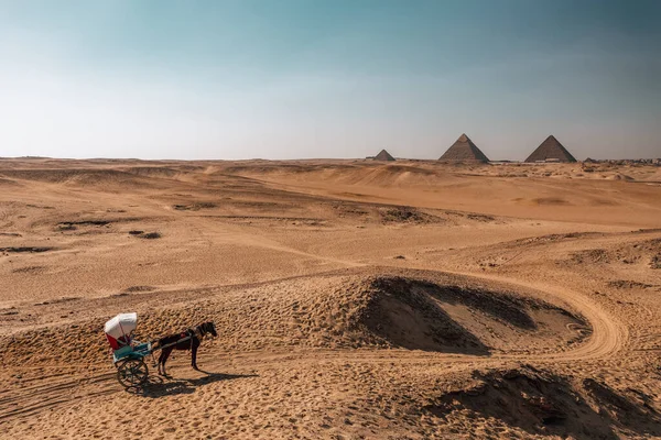 Карета Коні Поблизу Пірамід Плато Гіза Каїр Єгипет — стокове фото